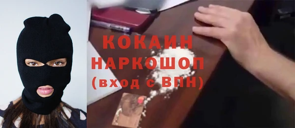 дживик Белокуриха