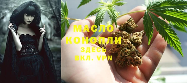 дживик Белокуриха