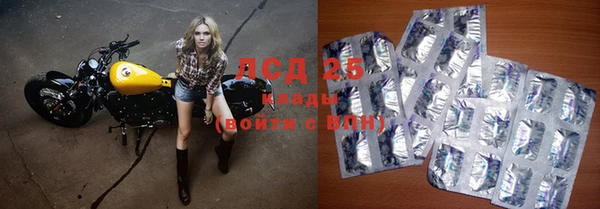 дживик Белокуриха