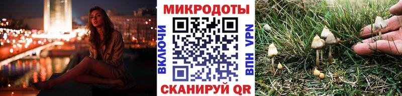 купить наркотики цена Верхотурье MEGA вход Псилоцибиновые грибы GOLDEN TEACHER